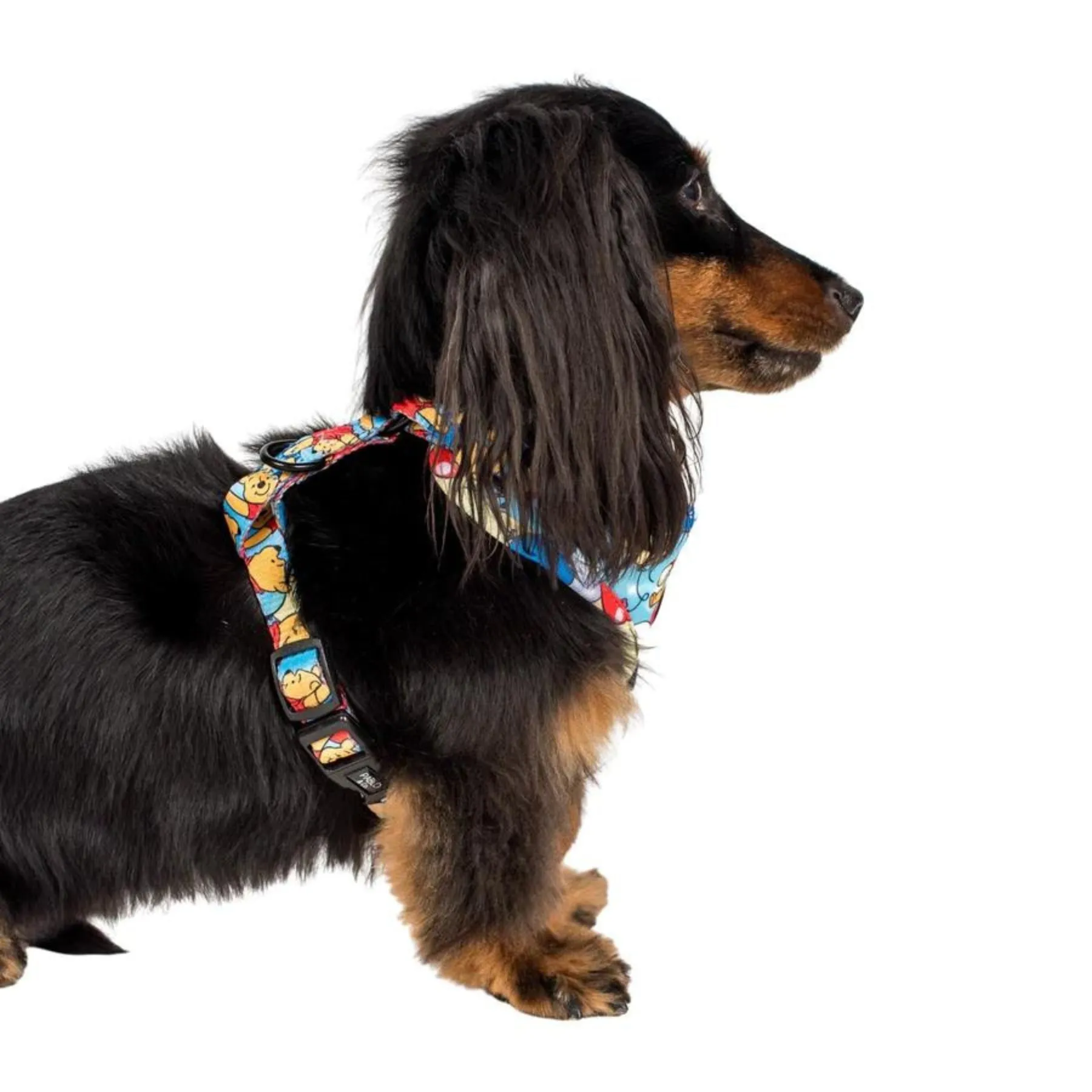 Pooh's Balloons Adjustable Harness