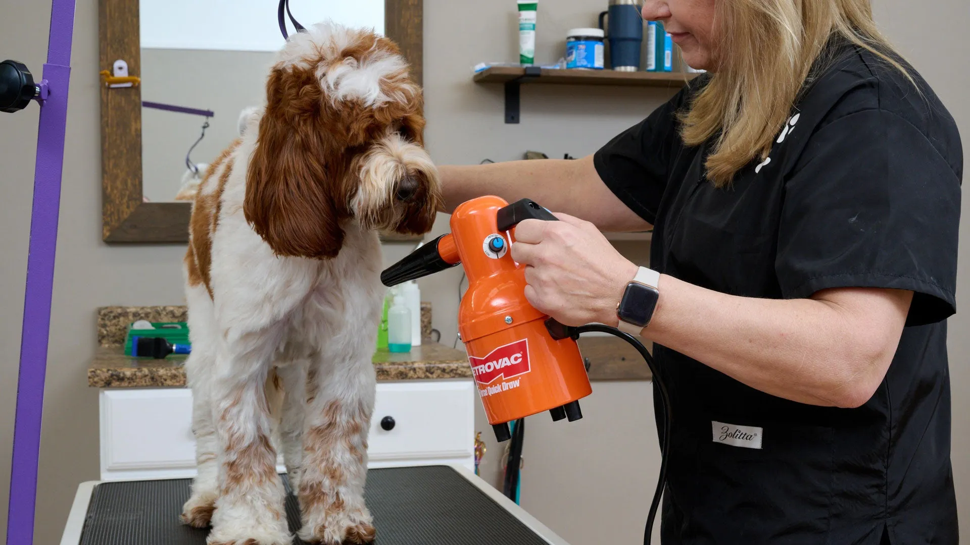 Portable Pet Grooming | Air Force® Quick Draw Pet Grooming Dryer