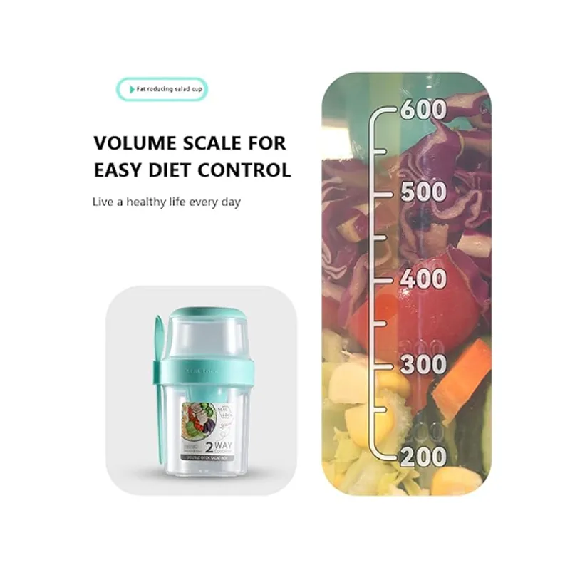 Portable Seal Lock Double Deck Salad Box With Spoon Hd-20