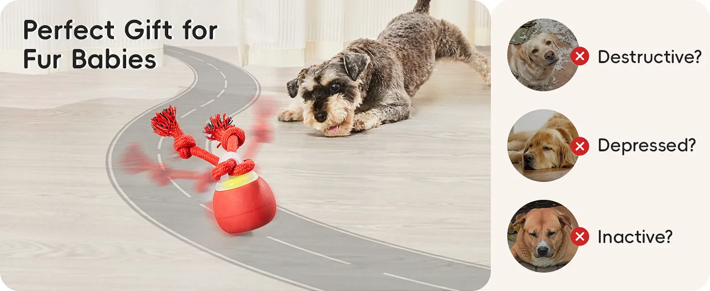 Potaroma Interactive Dog Ball Toys Touch Activated, Rechargeable, Squeaky Dog Toy