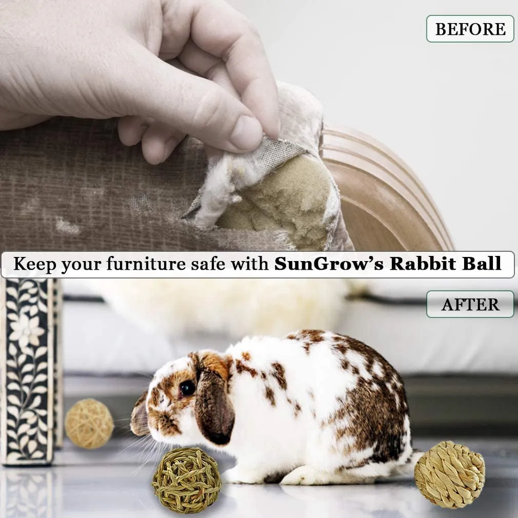 Small Animal Activity Toy, Play Chew Toys for Bunny Guinea Pigs Gerbils, 6 Pack