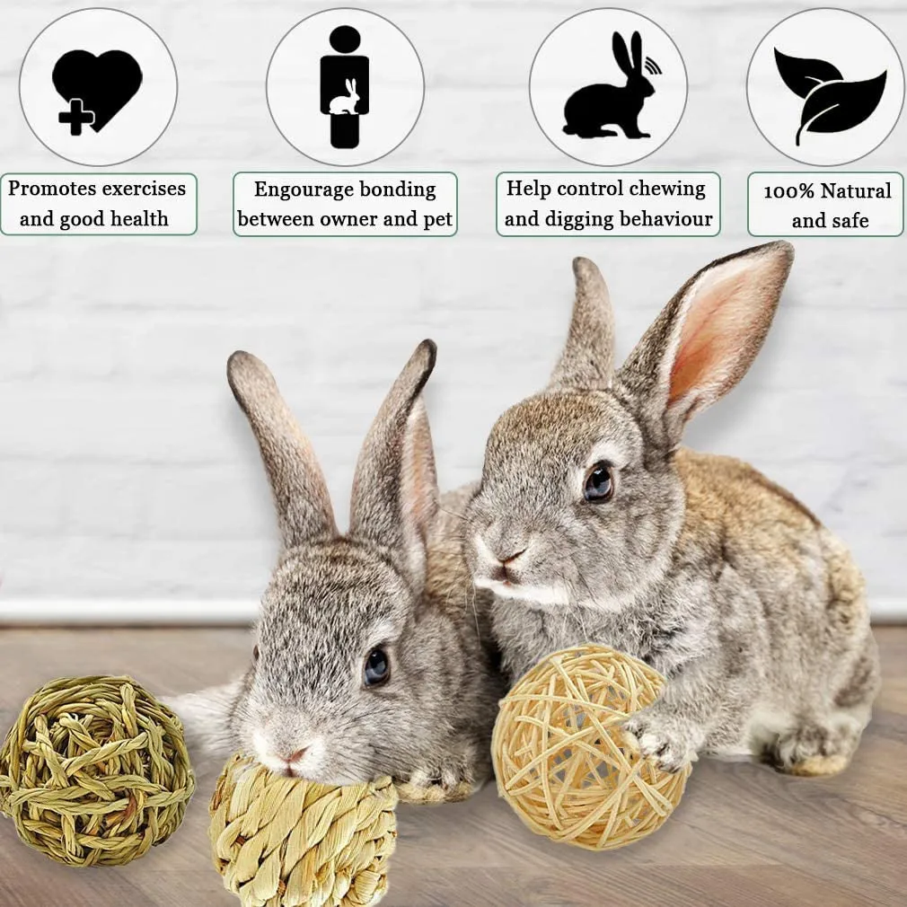 Small Animal Activity Toy, Play Chew Toys for Bunny Guinea Pigs Gerbils, 6 Pack