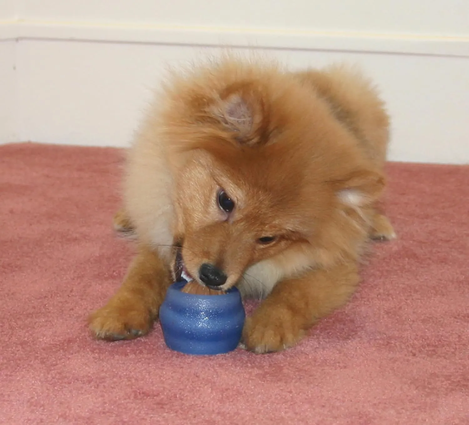 Starmark Everlasting Treat Ball Small with 1 treat