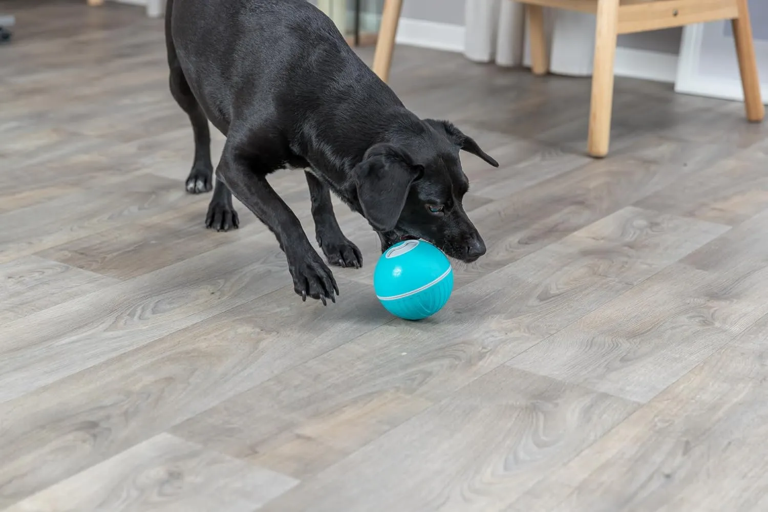 TRIXIE Treat Tumbler Snack Ball Dog Toy, Level 1 Interactive Treat Dispensing Dog Puzzle, Enrichment Toy, Large