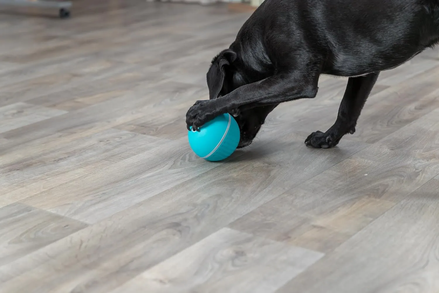 TRIXIE Treat Tumbler Snack Ball Dog Toy, Level 1 Interactive Treat Dispensing Dog Puzzle, Enrichment Toy, Large