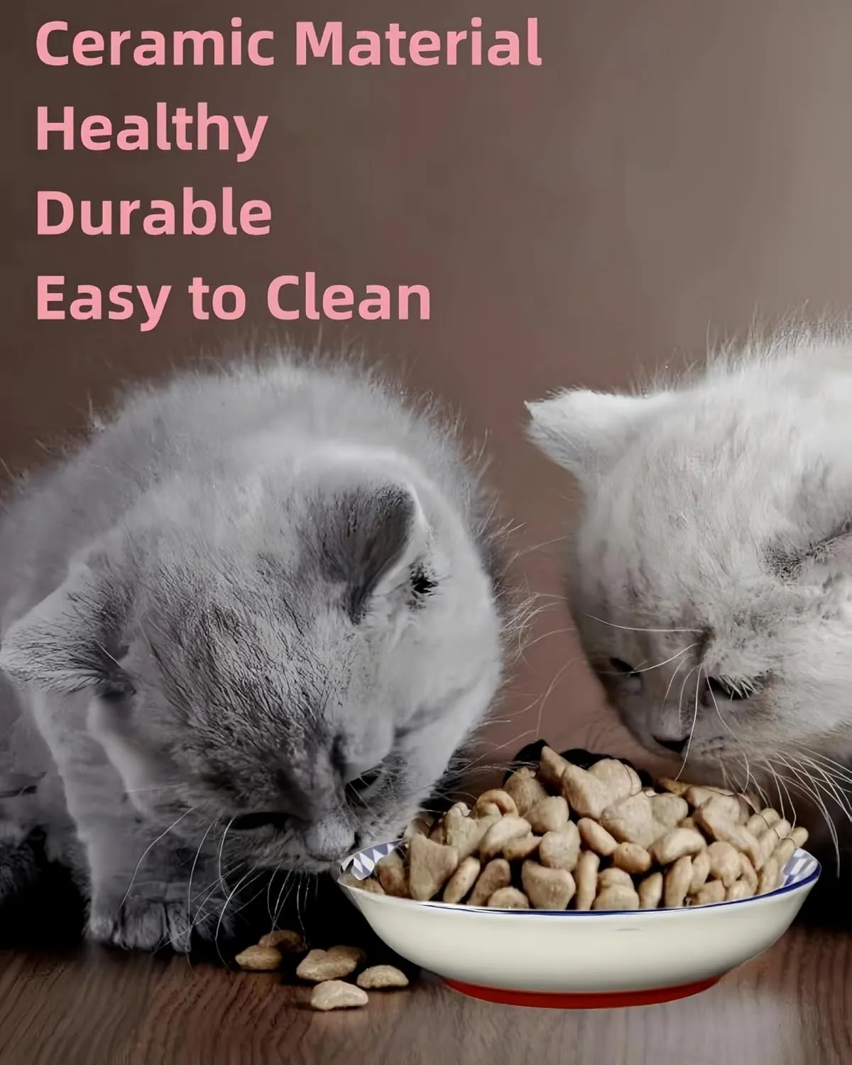 Whisker Fatigue Cat Bowl - 5.5 in Ceramic, Shallow Cat Food Dish, Cute Flat Bowl with Silicone Bottom, Non-Slip and Quiet