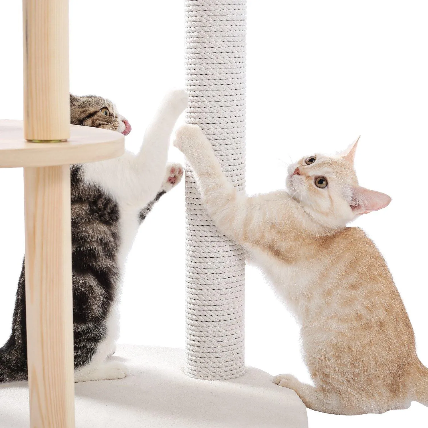 White Multi-Level Cat Tree