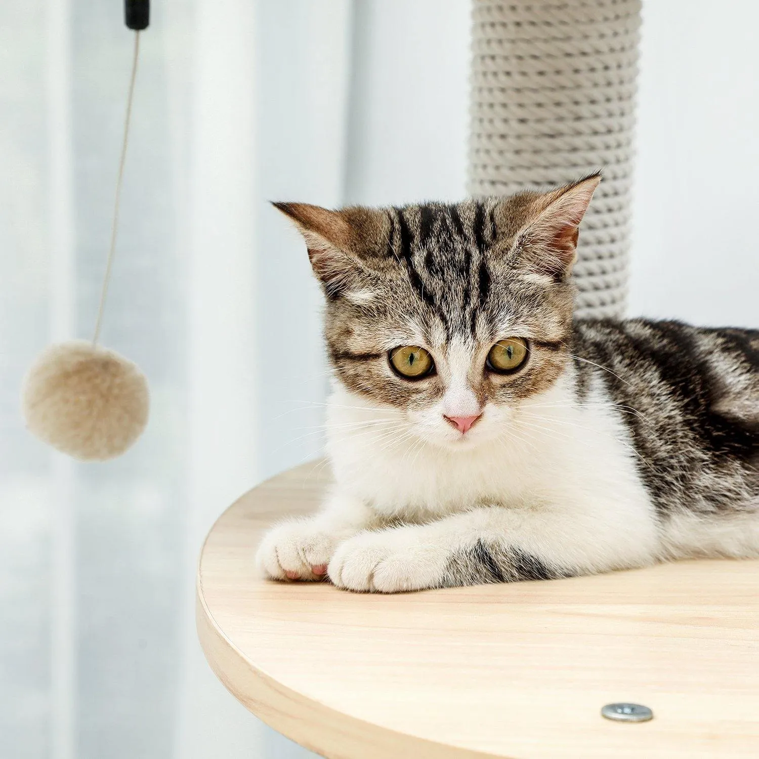 White Multi-Level Cat Tree