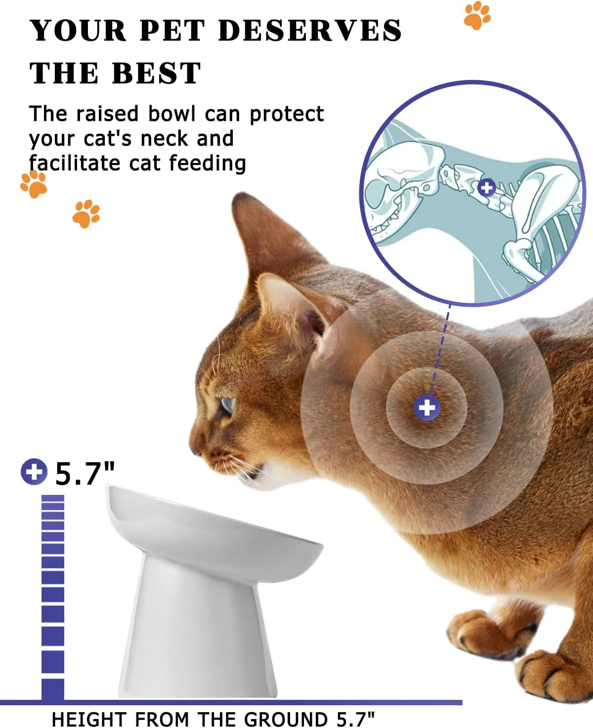Y YHY Pet Feeder, Ceramic Cat Slow Feeder Bowl, 6 Inches, Elevated, Anti Vomiting for Dry and Wet Food, White